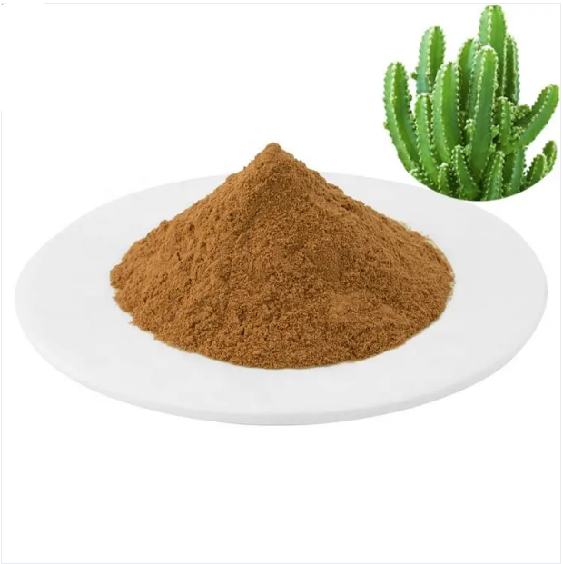 Suministro de polvo de extracto de cactus de polisacárido al 10%
