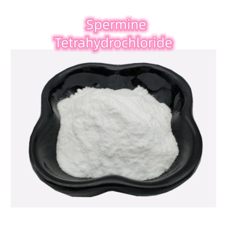 Tetrahidrocloruro de spermine de alta calidad CAS 306-67-2