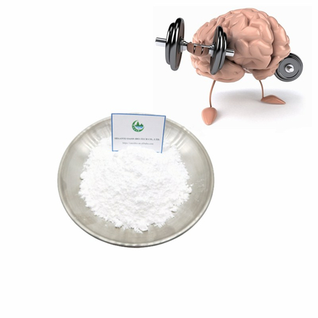 El polvo de Nefiracetam del polvo del 99% de Nootropic para el cerebro mejora CAS 77191-36-7
