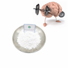Suministre el cerebro de Nootropics mejore CAS 314728-85-3 99% polvo de Sunifiram